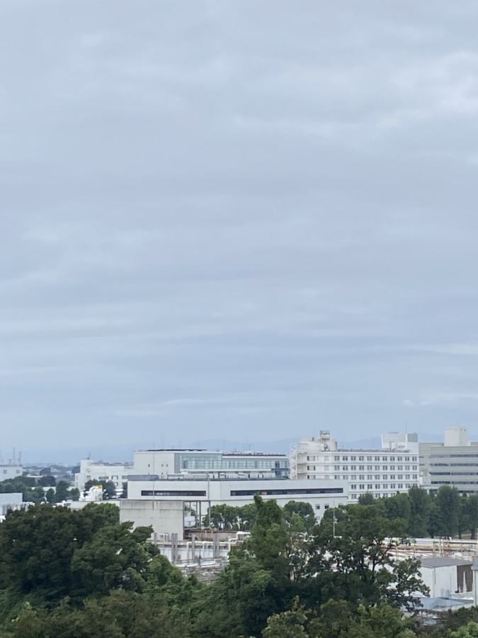 今朝の富士山