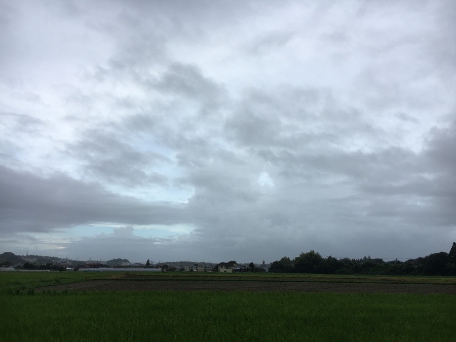 ⭕️空部→ 今日の空（≧∇≦）‼️1484.