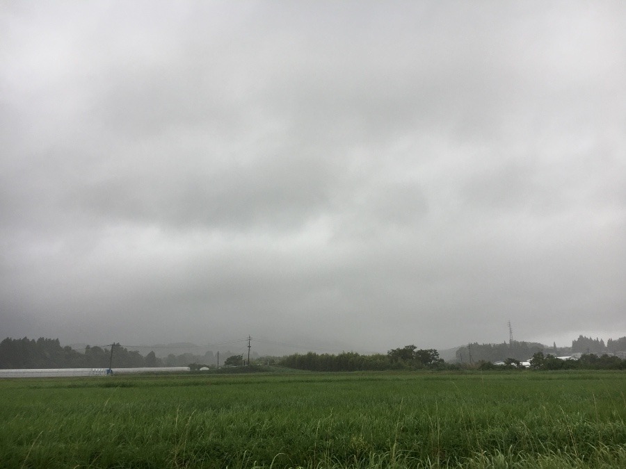 ⭕️空部→ 今日の空（≧∇≦）‼️1491.