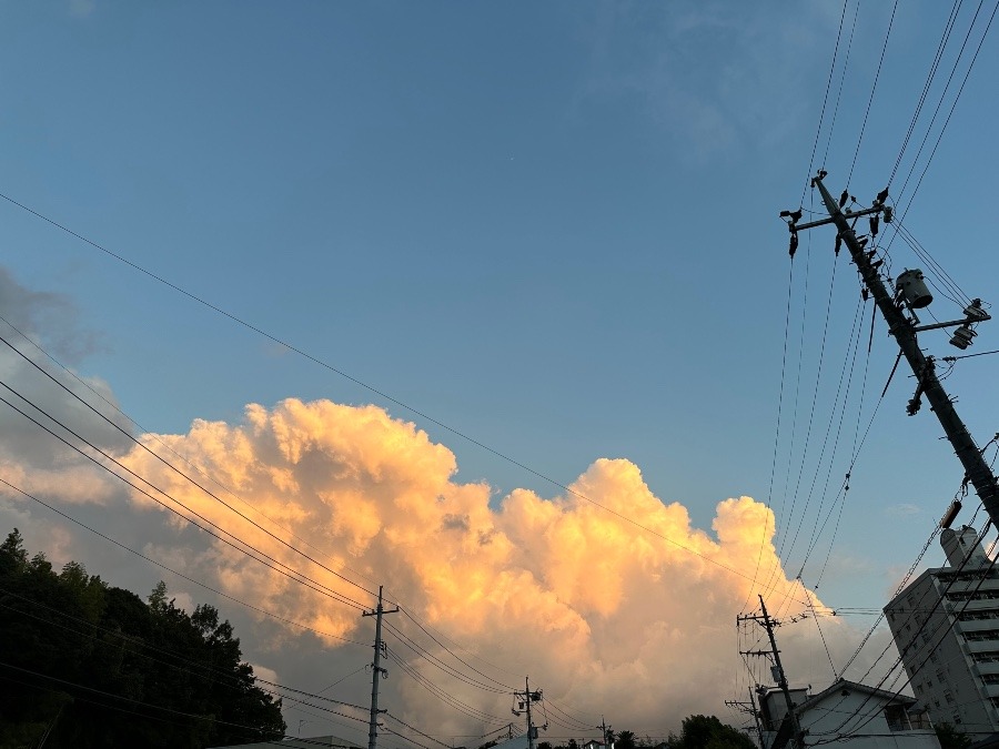 久しぶりの空部&雲もくもく部