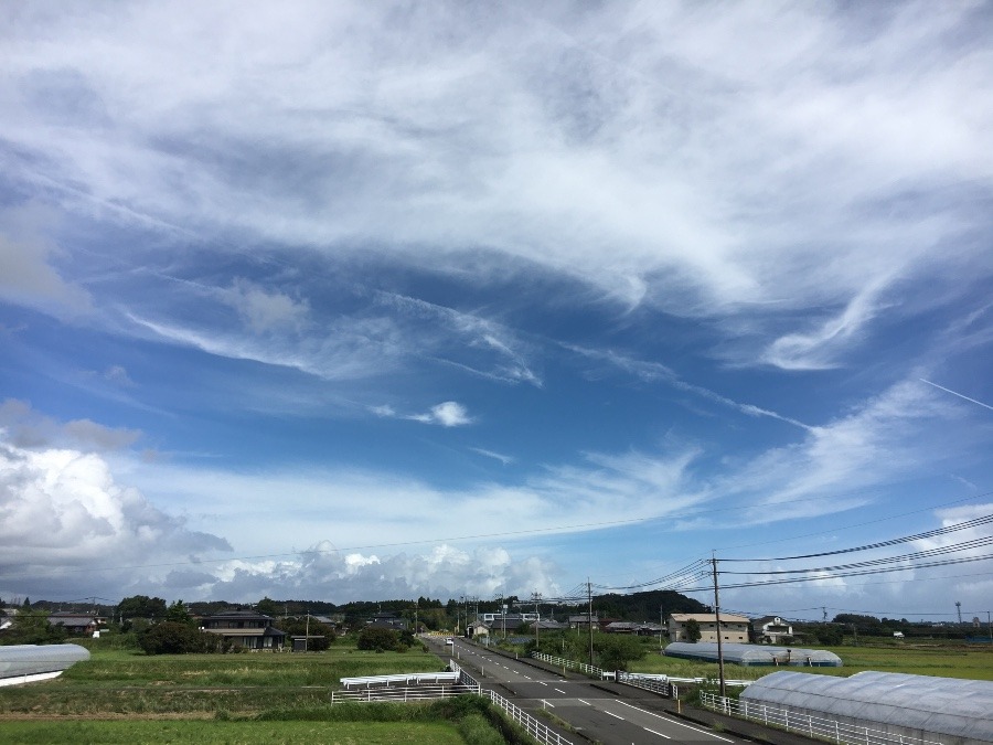 ⭕️空部→ 今日の空（≧∇≦）‼️1487.