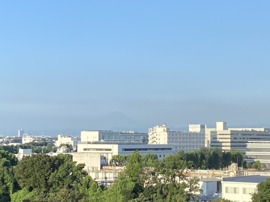 今朝の富士山