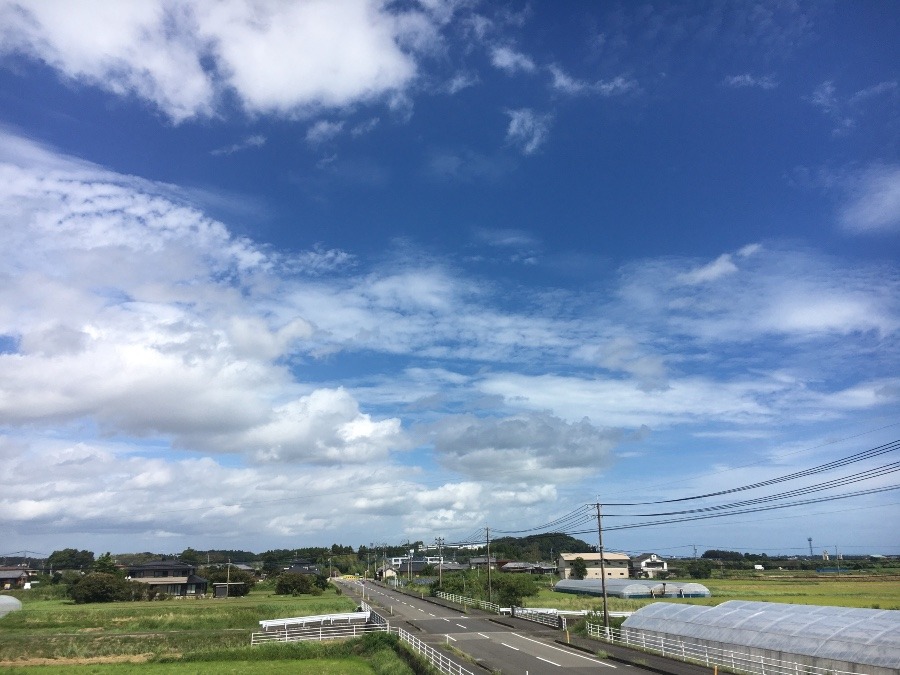 ⭕️空部→ 今日の空（≧∇≦）‼️1490.