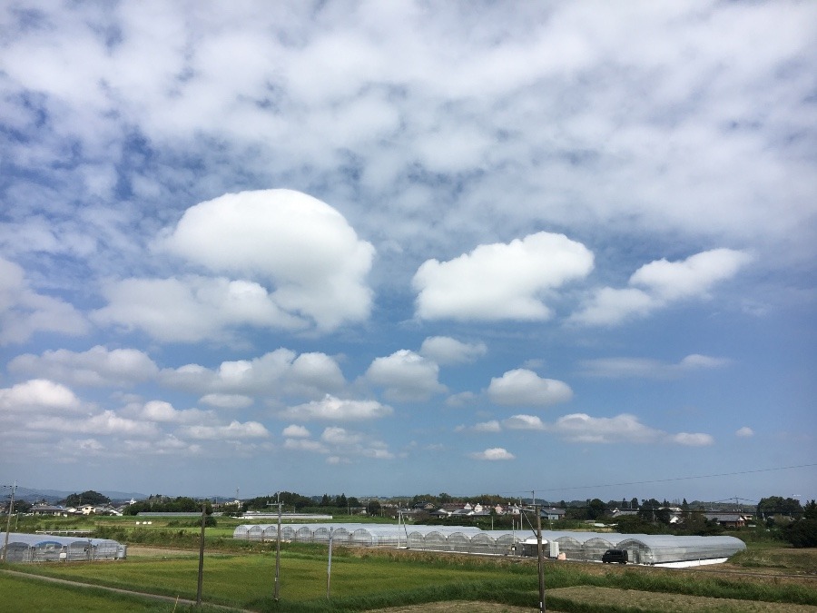 ⭕️空部→ 今日の空（≧∇≦）‼️1473.