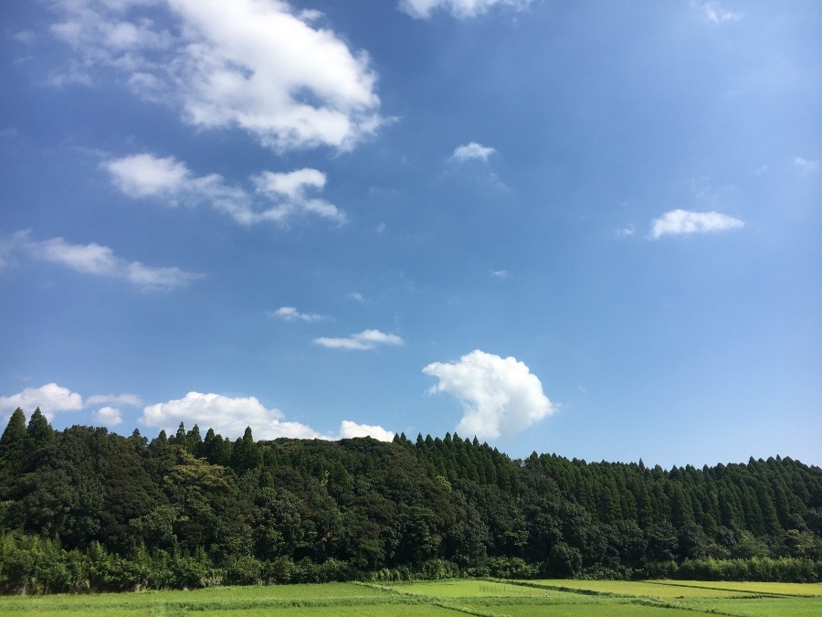 ⭕️空部→ 今日の空（≧∇≦）‼️1465.