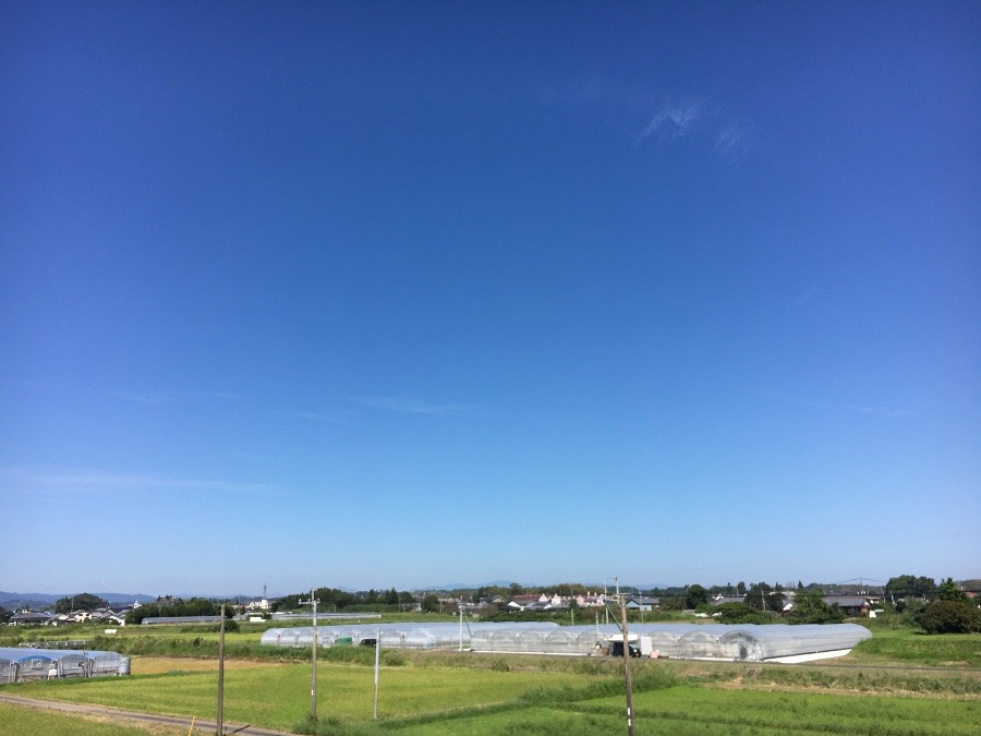 ⭕️空部→ 今日の空（≧∇≦）‼️1498.