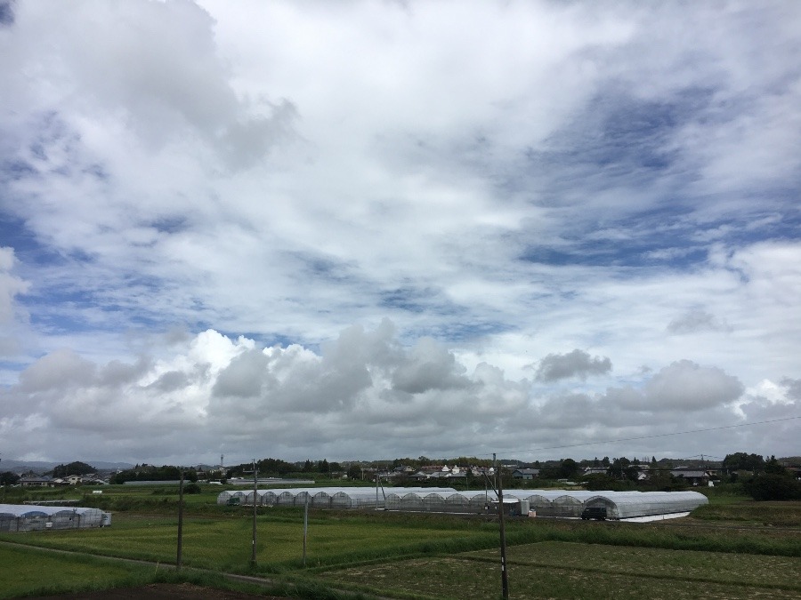 ⭕️空部→ 今日の空（≧∇≦）‼️1477.