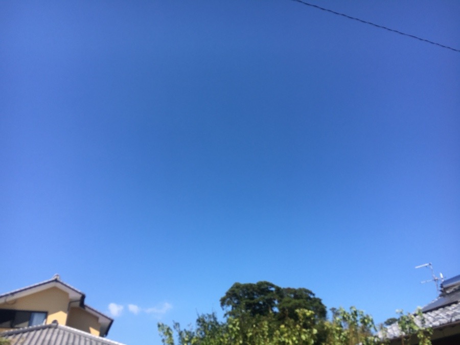 ⭕️空部→ 今日の空（≧∇≦）‼️1468.