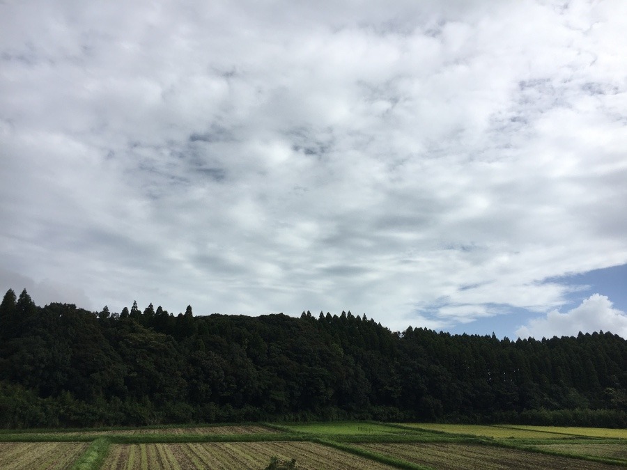 ⭕️空部→ 今日の空（≧∇≦）‼️1476.