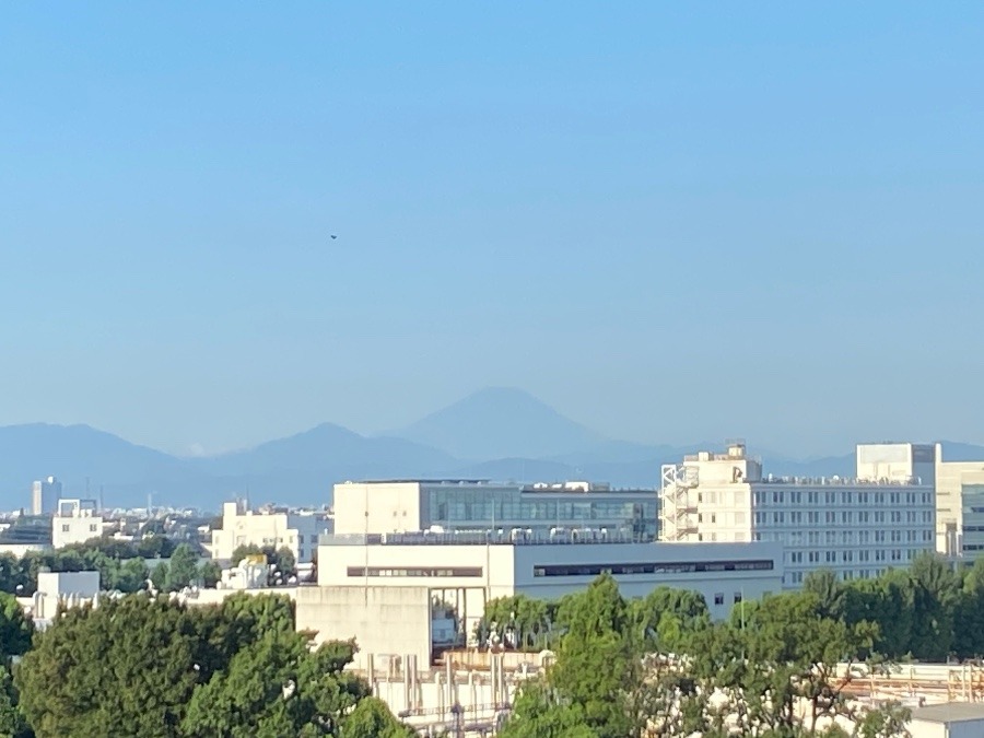 今朝の富士山