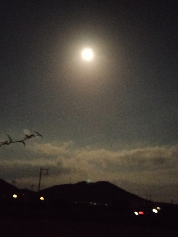 今夜は中秋の名月