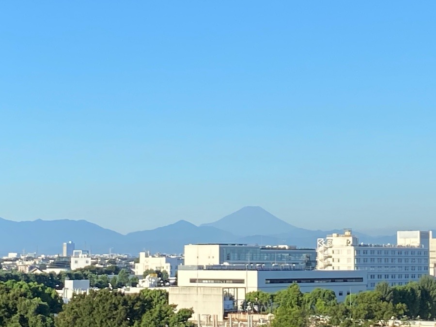 今朝の富士山