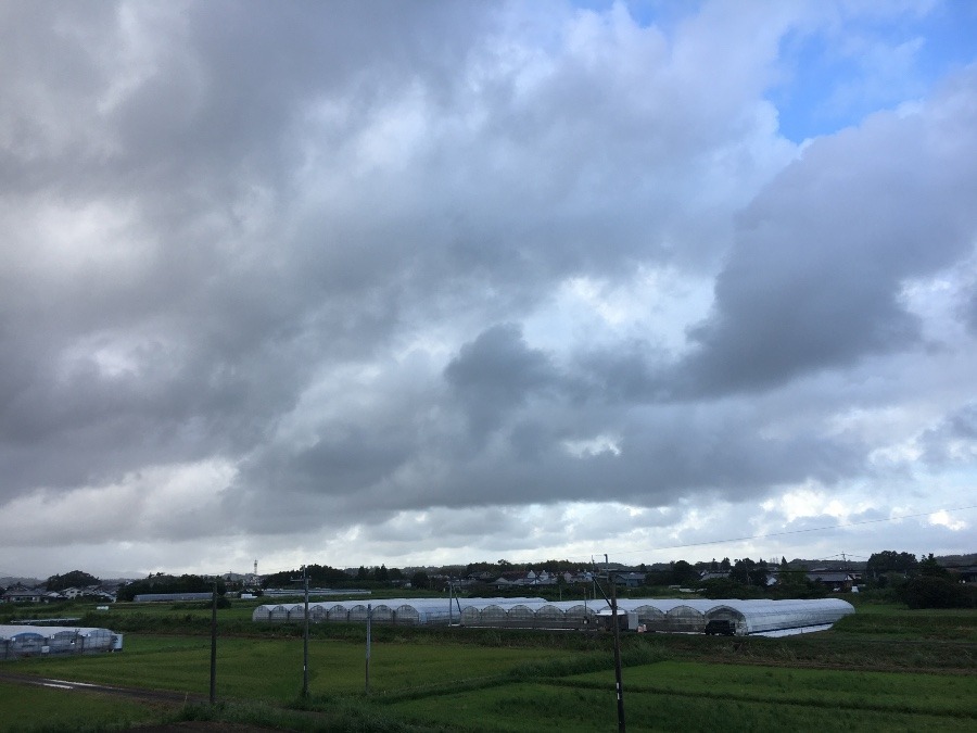 ⭕️空部→ 今日の空（≧∇≦）‼️1486.