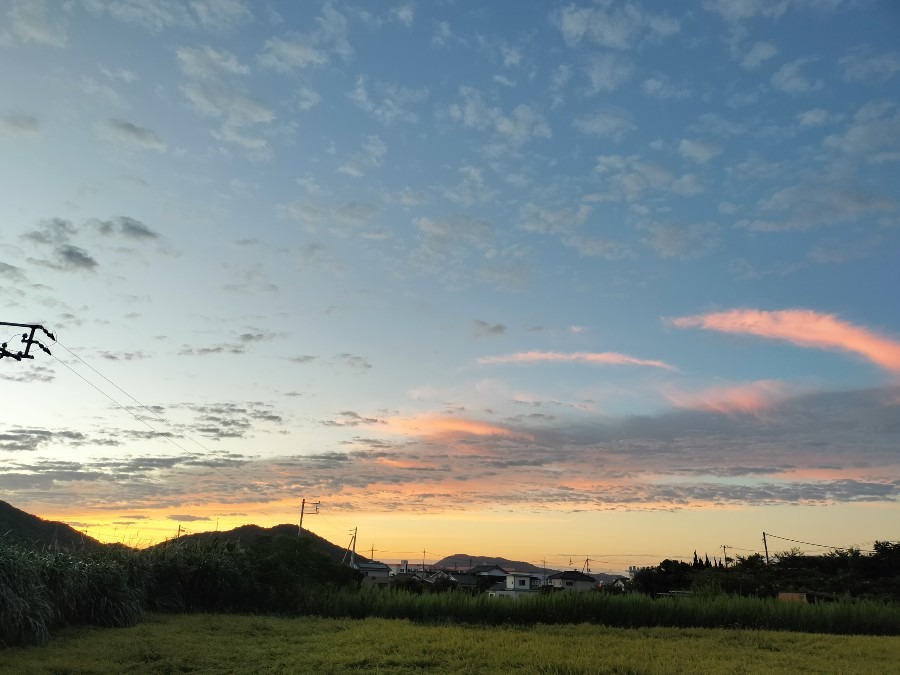 綺麗な朝焼け