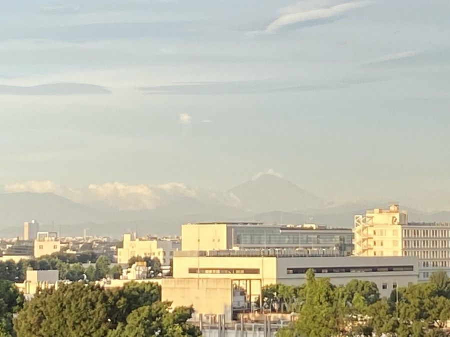 今朝の富士山