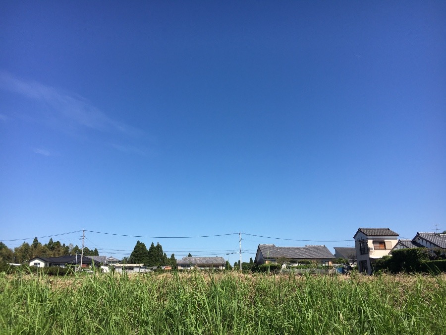 ⭕️空部→ 今日の空（≧∇≦）‼️1497.