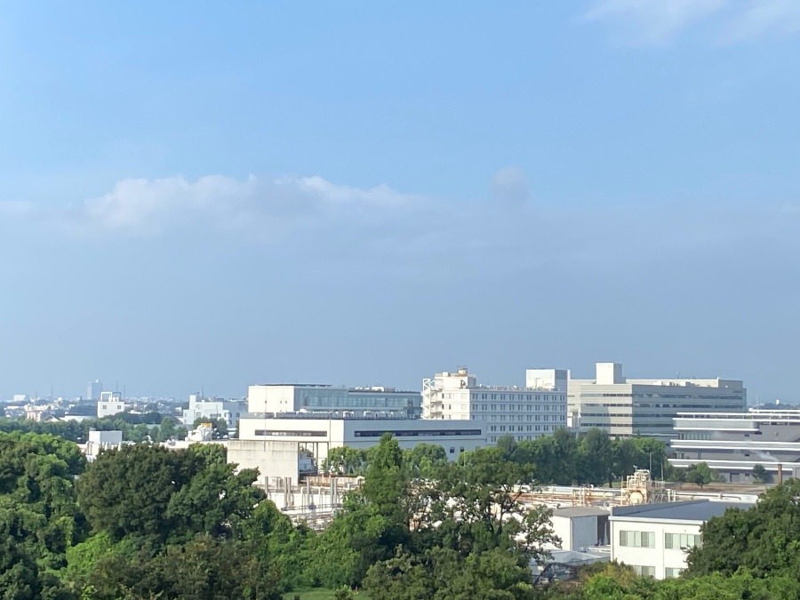 今朝の富士山