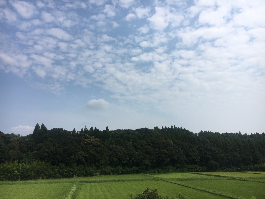 ⭕️空部→ 今日の空（≧∇≦）‼️1466.