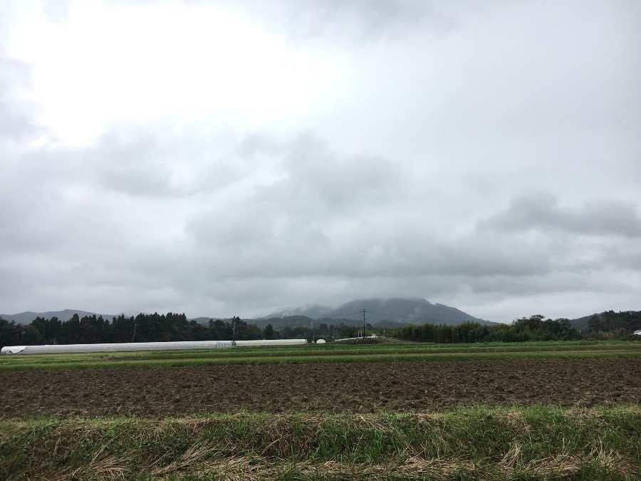 ⭕️空部→ 今日の空（≧∇≦）‼️1533.