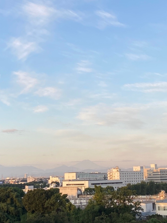 今朝の富士山