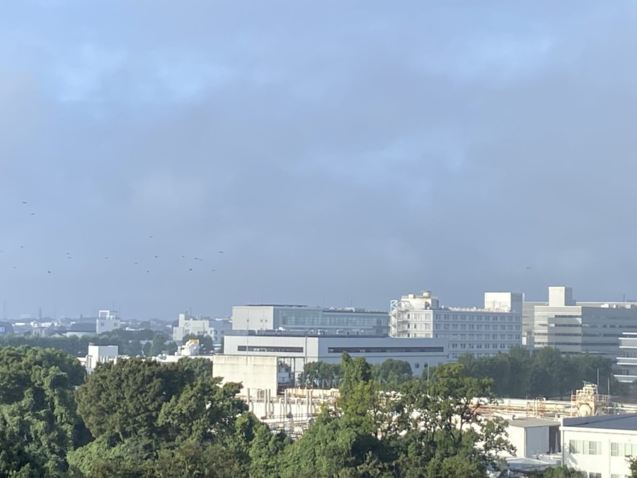 今朝の富士山