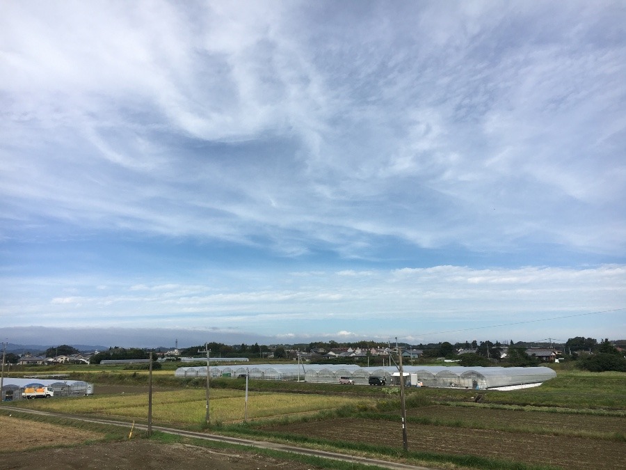 ⭕️空部→ 今日の空（≧∇≦）‼️1534.