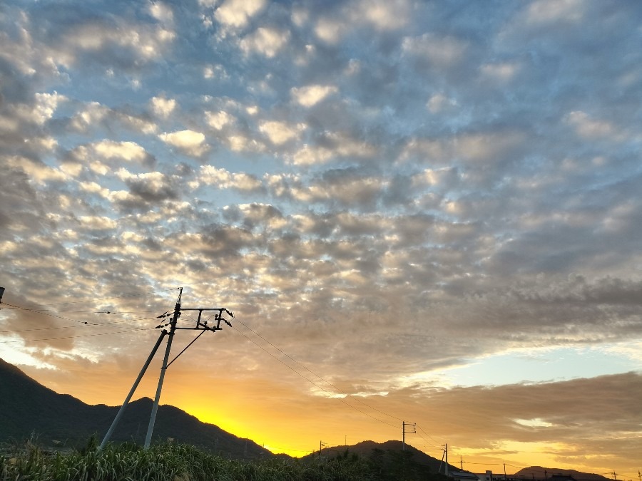 秋の空