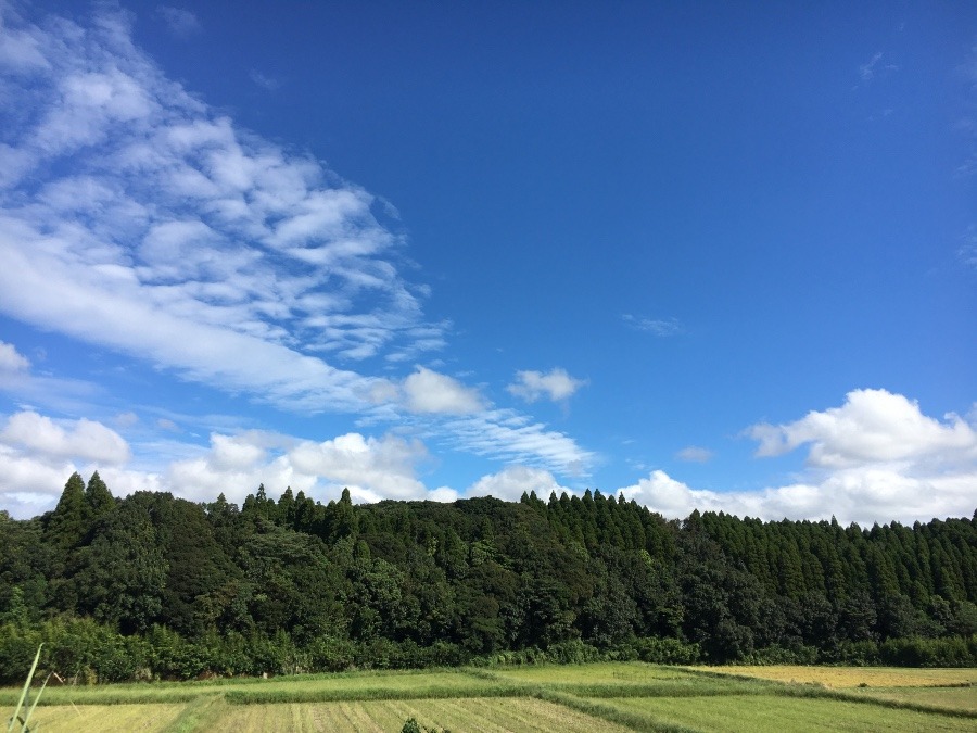 ⭕️空部→ 今日の空（≧∇≦）‼️1512.