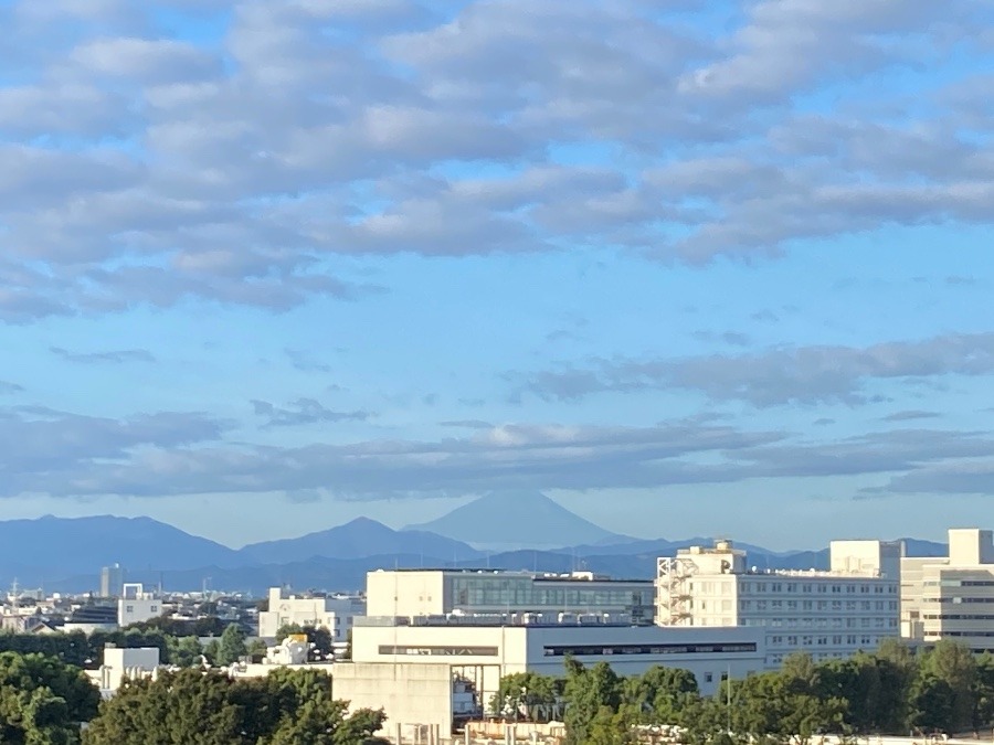 今朝の富士山