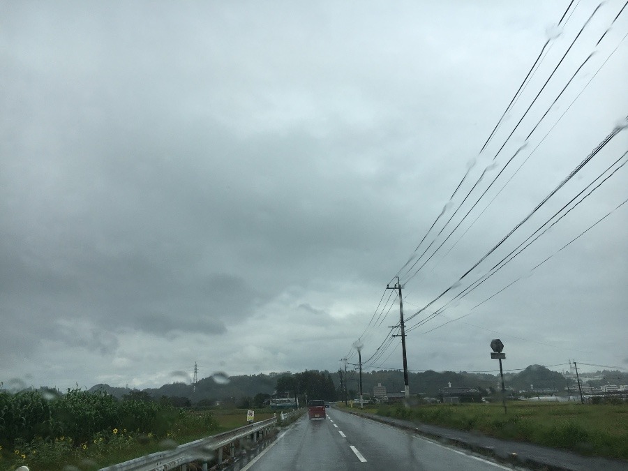 ⭕️空部→ 今日の空（≧∇≦）‼️1531.