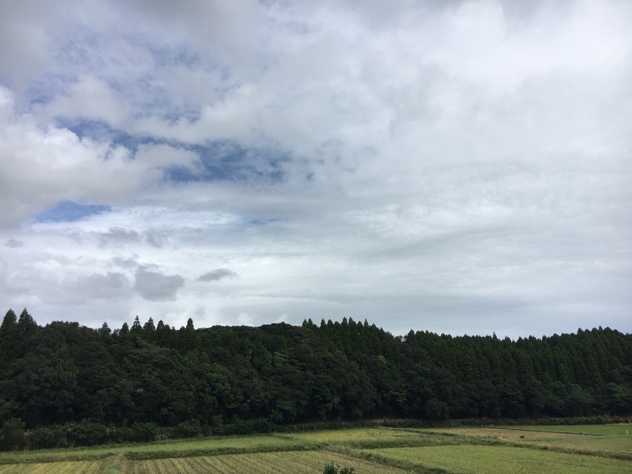 ⭕️空部→ 今日の空（≧∇≦）‼️1521.