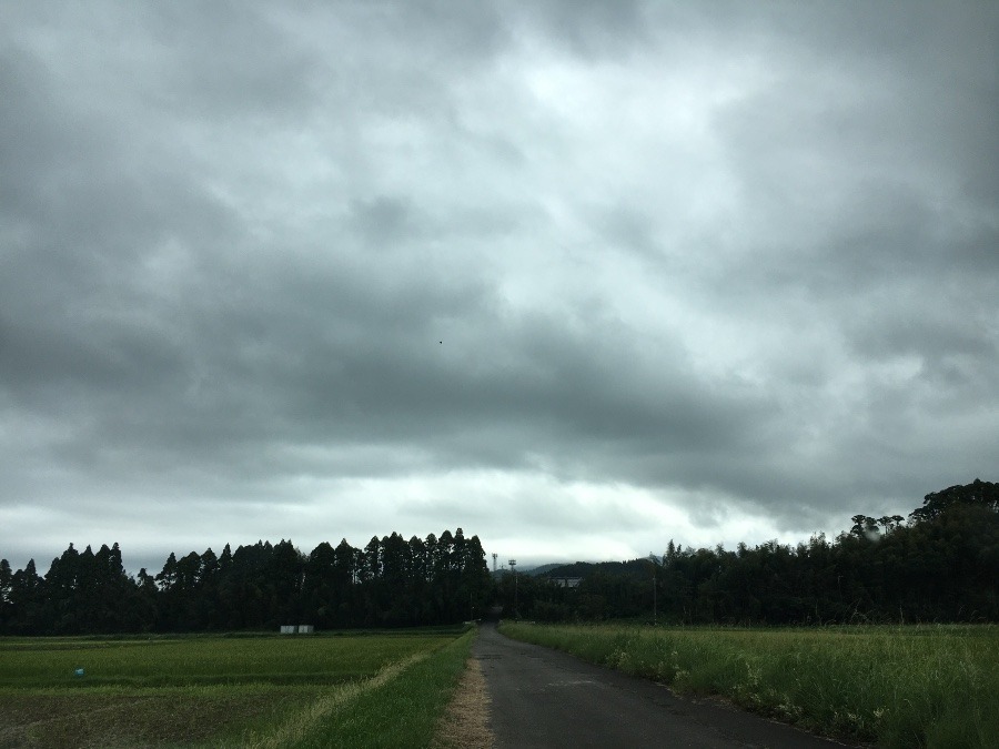 ⭕️空部→ 今日の空（≧∇≦）‼️1505.