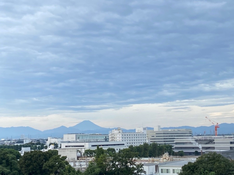 今朝の富士山