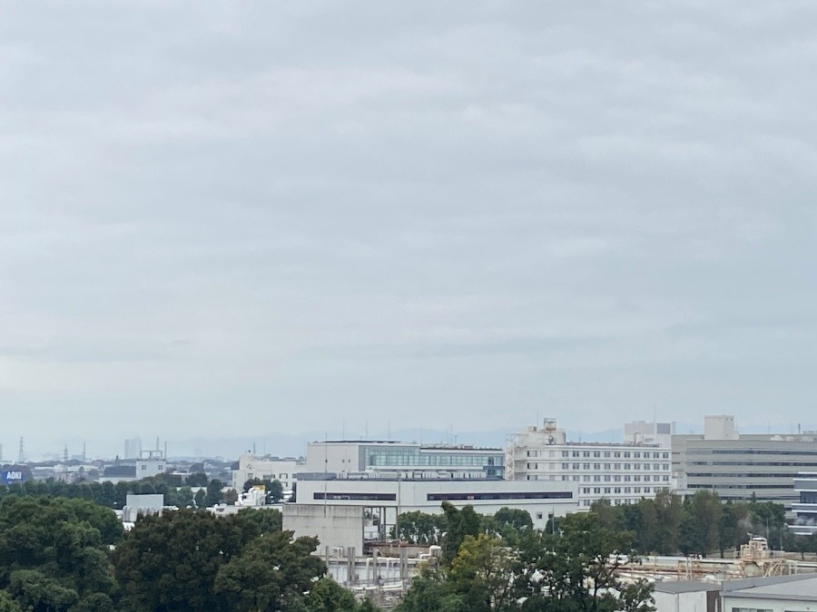 今朝の富士山