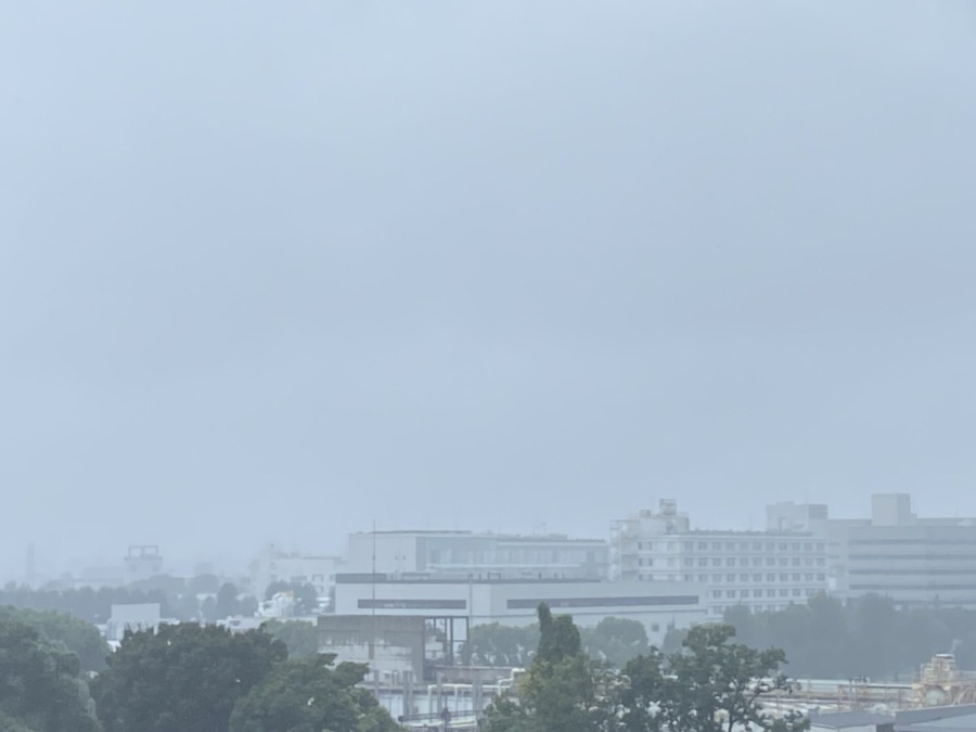 今朝の富士山