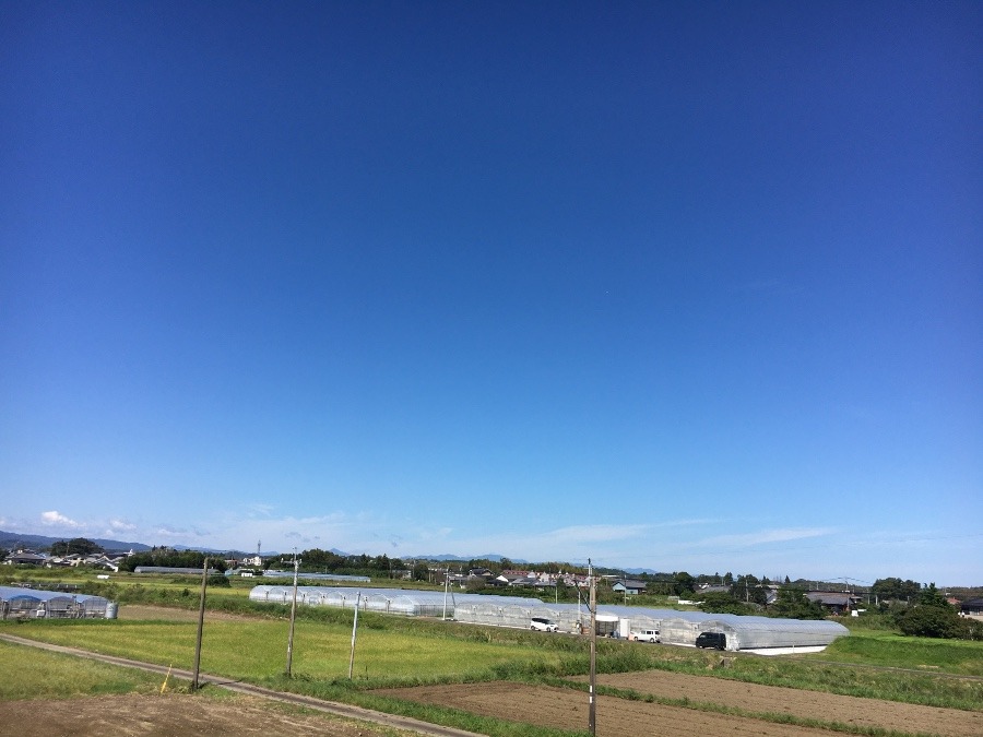 ⭕️空部→ 今日の空（≧∇≦）‼️1517.