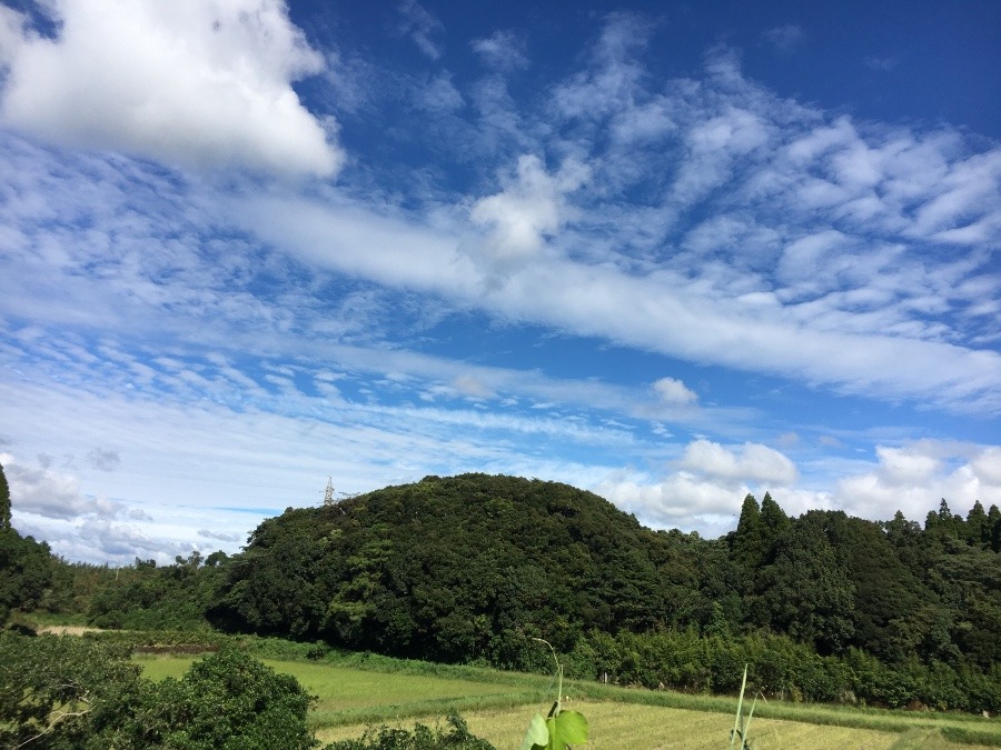 ⭕️空部→ 今日の空（≧∇≦）‼️1516.