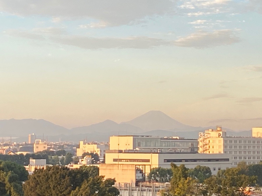 今朝の富士山