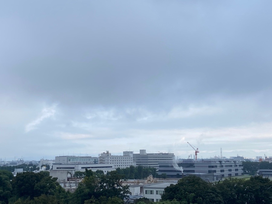 今朝の富士山