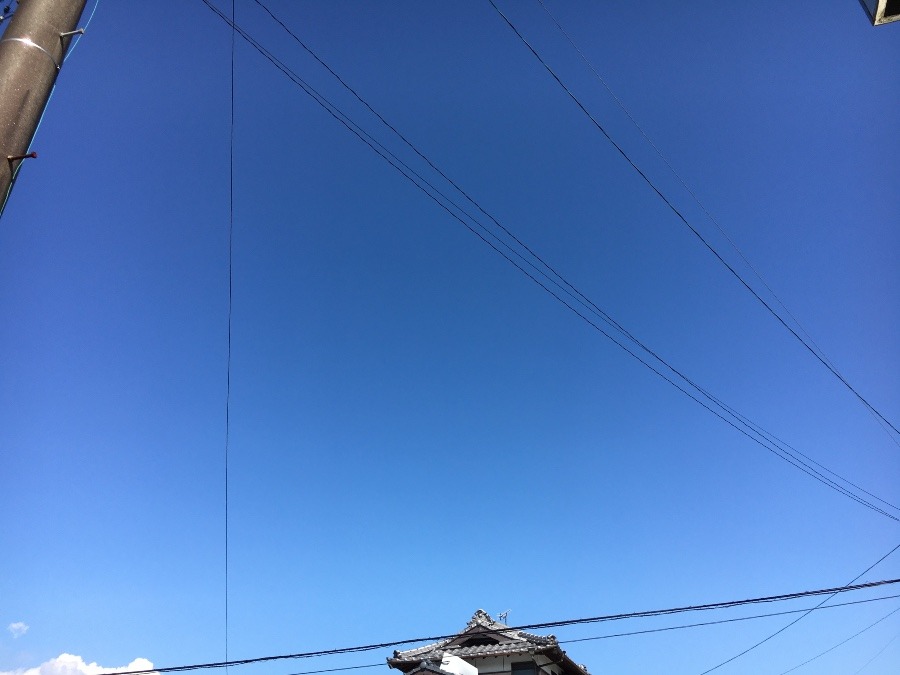 ⭕️空部→ 今日の空（≧∇≦）‼️1519.