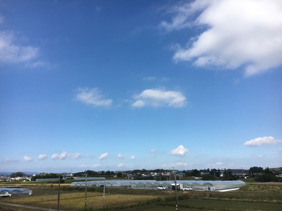 ⭕️空部→ 今日の空（≧∇≦）‼️1546.