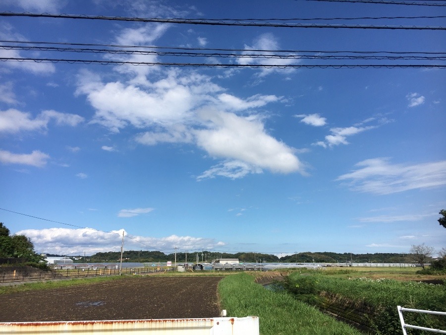 ⭕️空部→ 今日の空（≧∇≦）‼️1538.