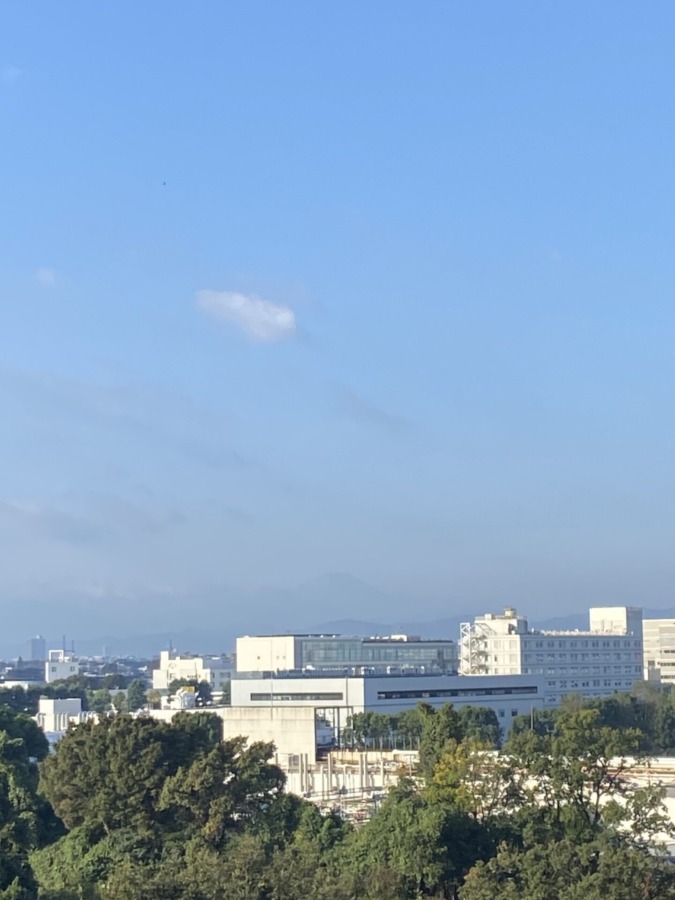 今朝の富士山