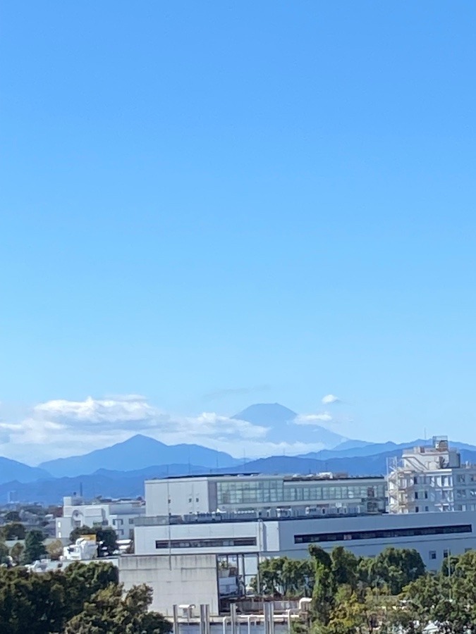 今日の富士山