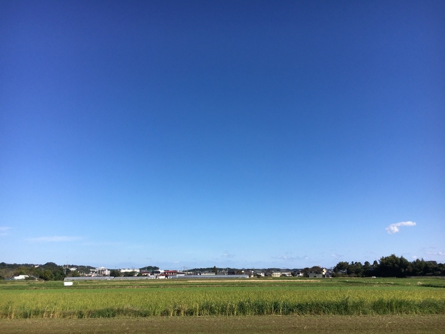 ⭕️空部→ 今日の空（≧∇≦）‼️1552.