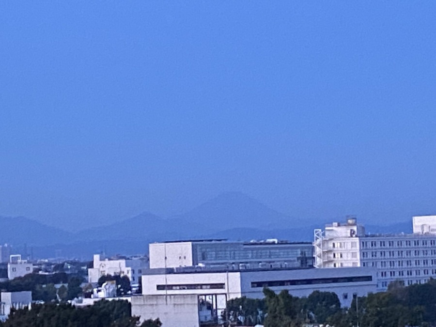 今朝の富士山