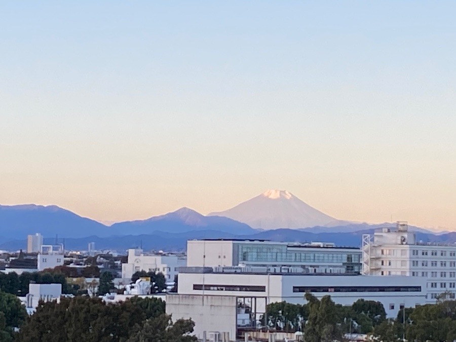 今朝の富士山