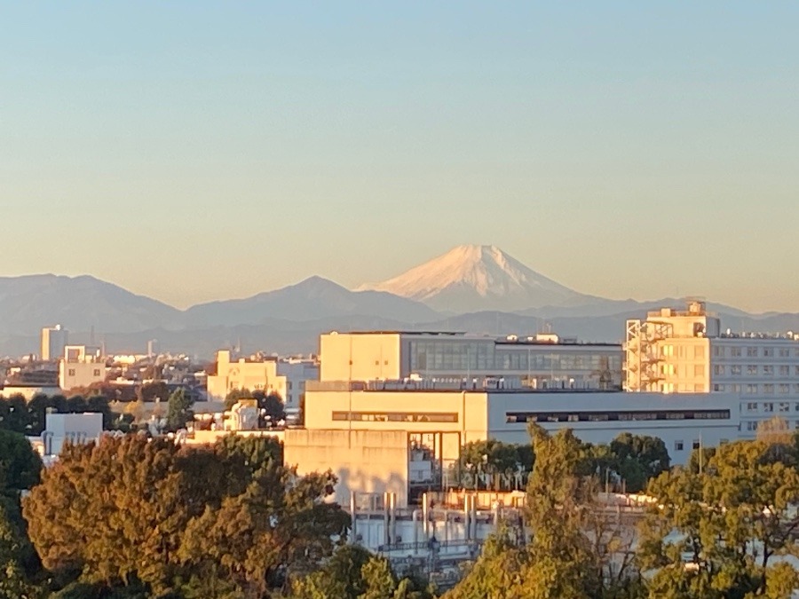 今朝の富士山