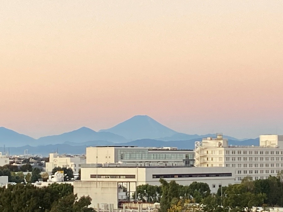 今朝の富士山