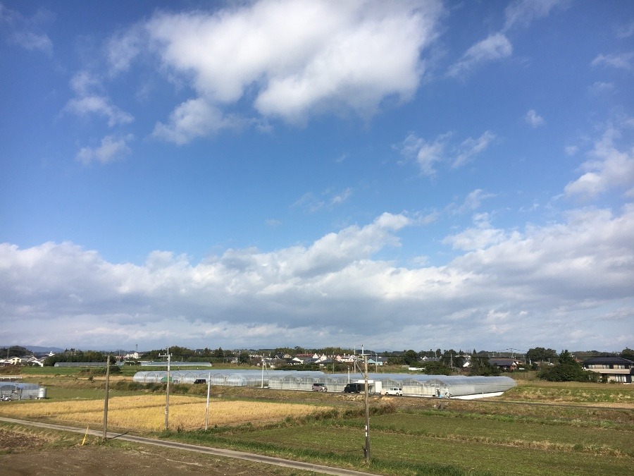 ⭕️空部→ 今日の空（≧∇≦）‼️1558.